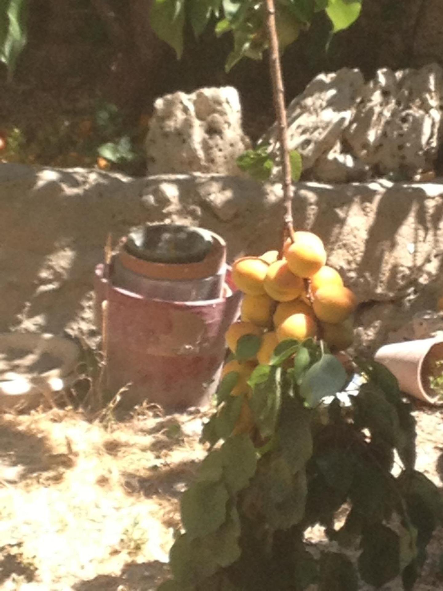 Coquet T3 à 500m de la mer