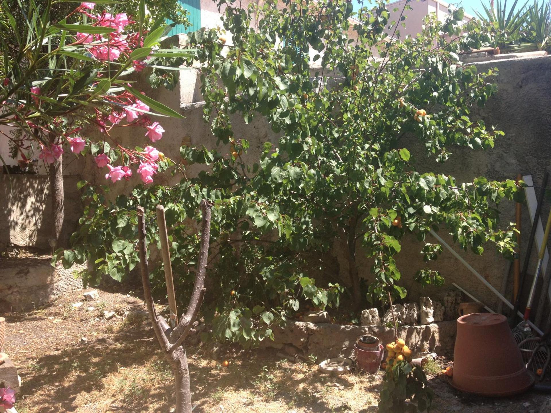 Coquet T3 à 500m de la mer