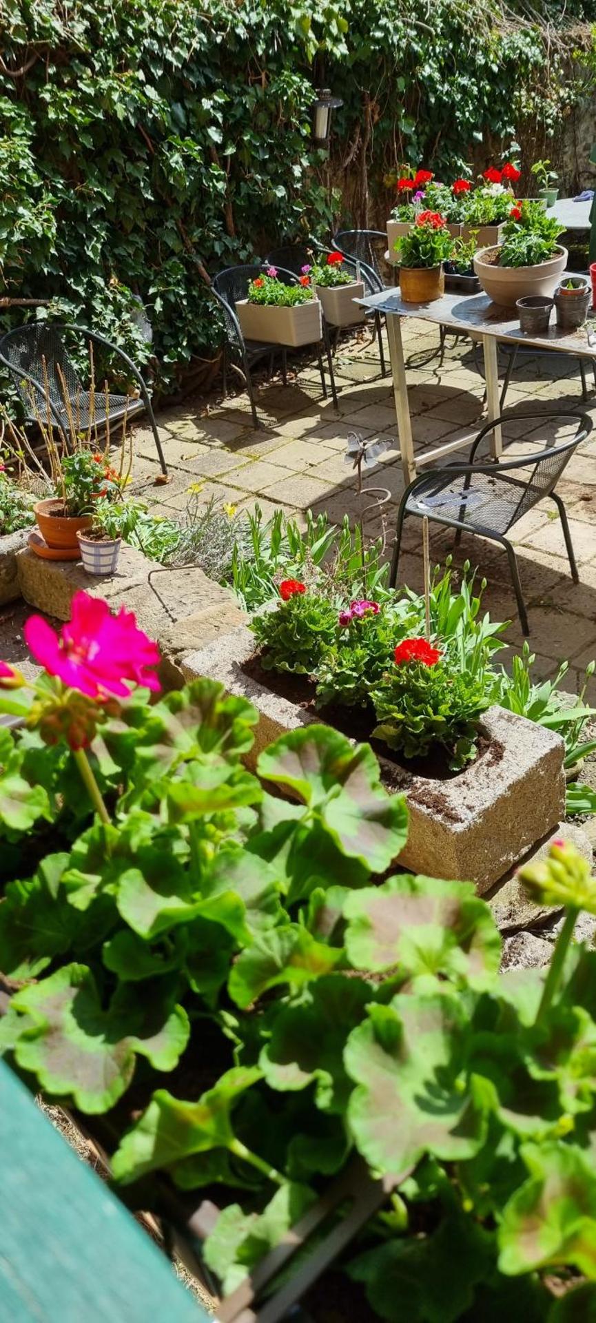 Konšelský šenk Domažlice