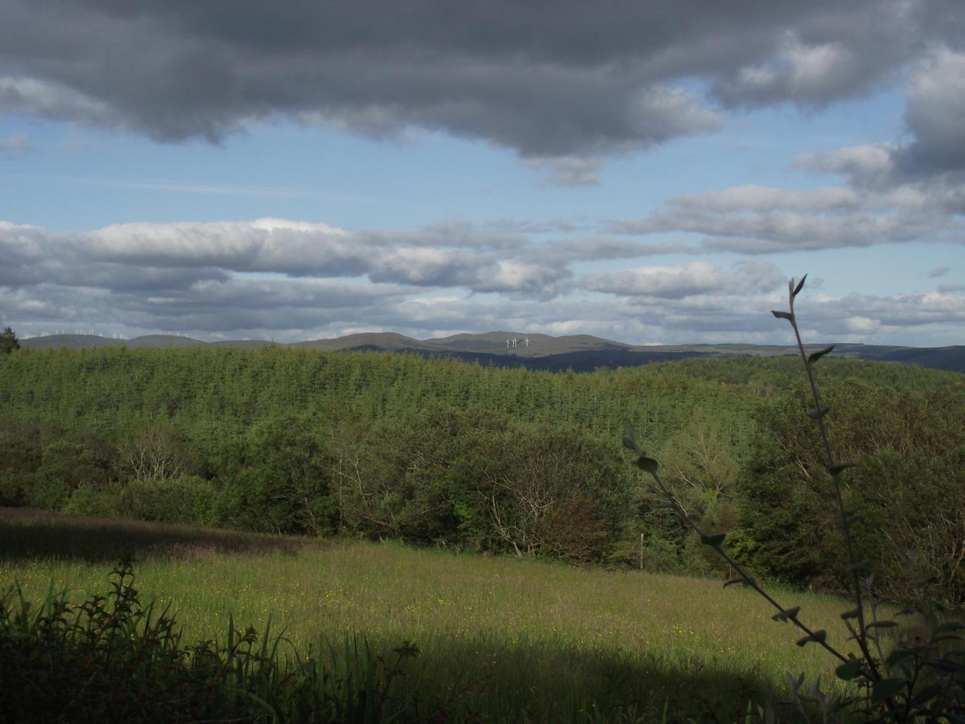 View (from property/room)