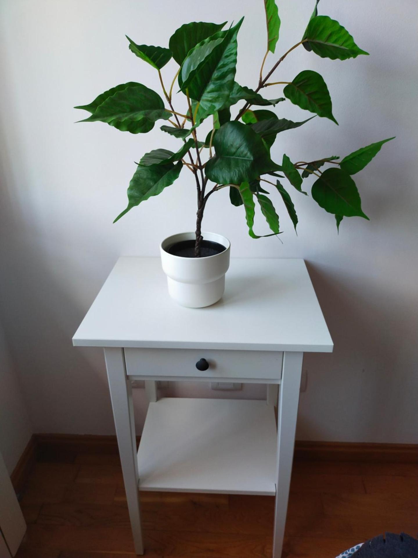 Tiviti playa ribadesella