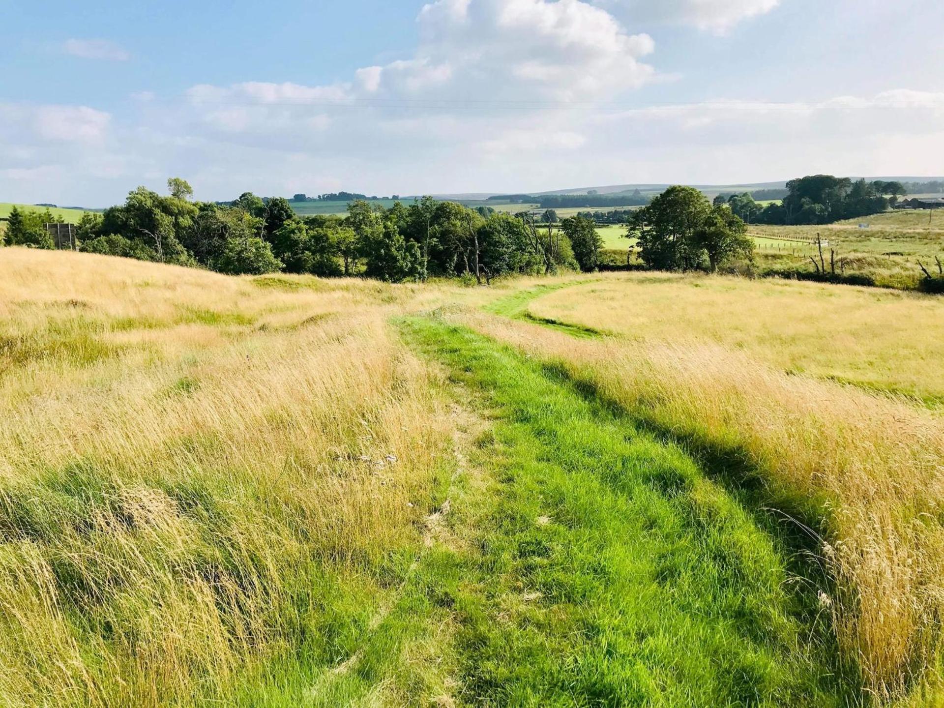 Elishaw Farm Holiday Cottages