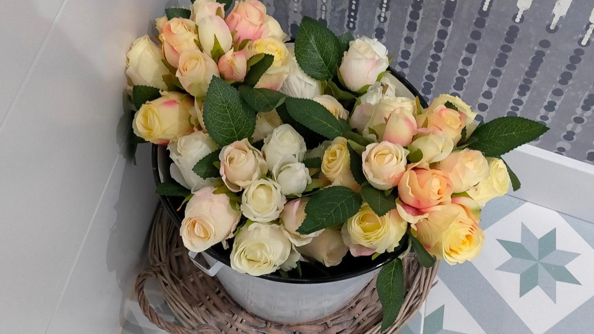 Blaucel Cafè i Habitacions