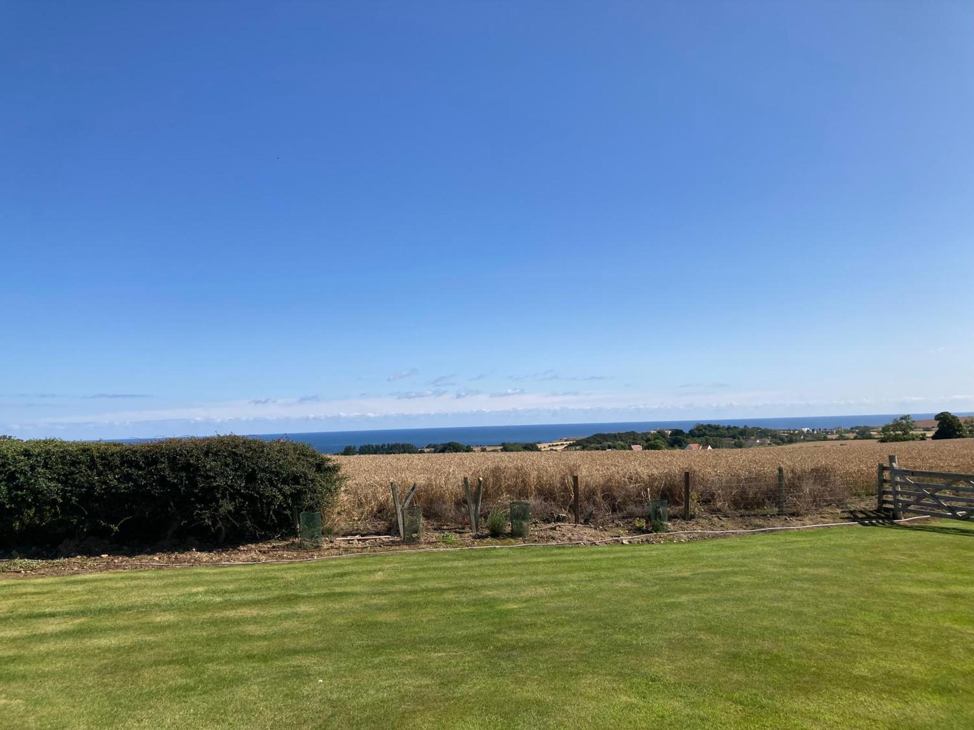 The Hawthorn Shepherds Hut