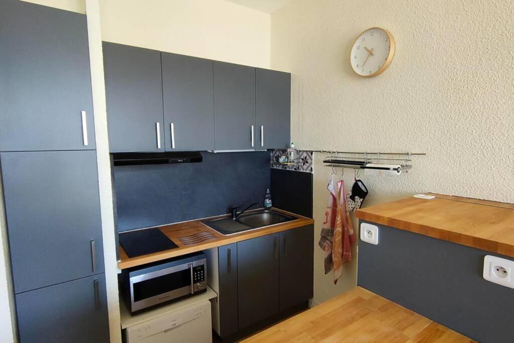 Bel appartement 45m2 rez de chaussée plein sud