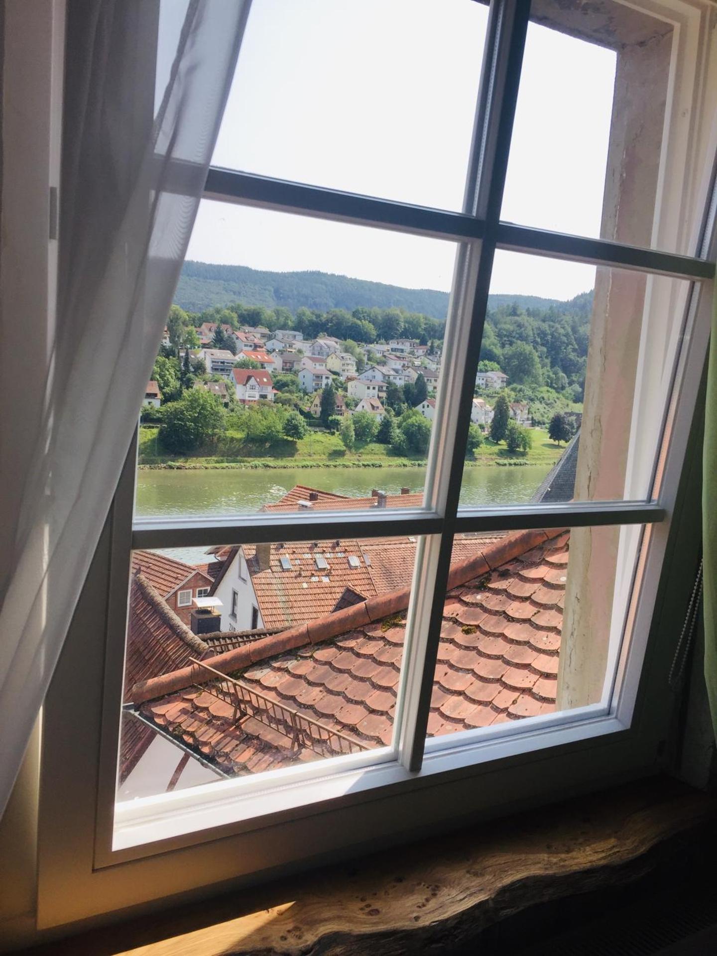 Natur und Neckarblick bei Heidelberg