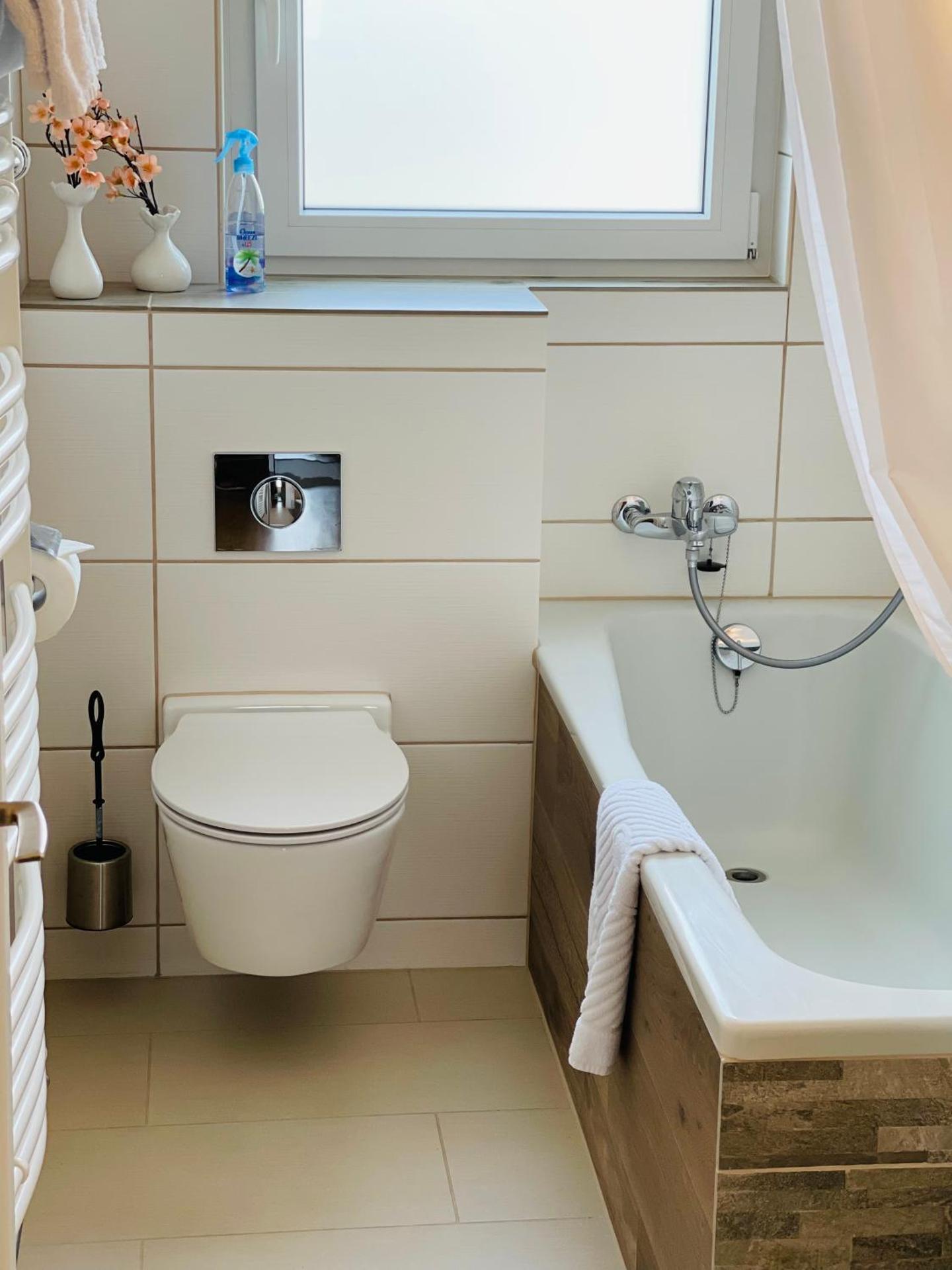 S&P Mountain View Apartment 1