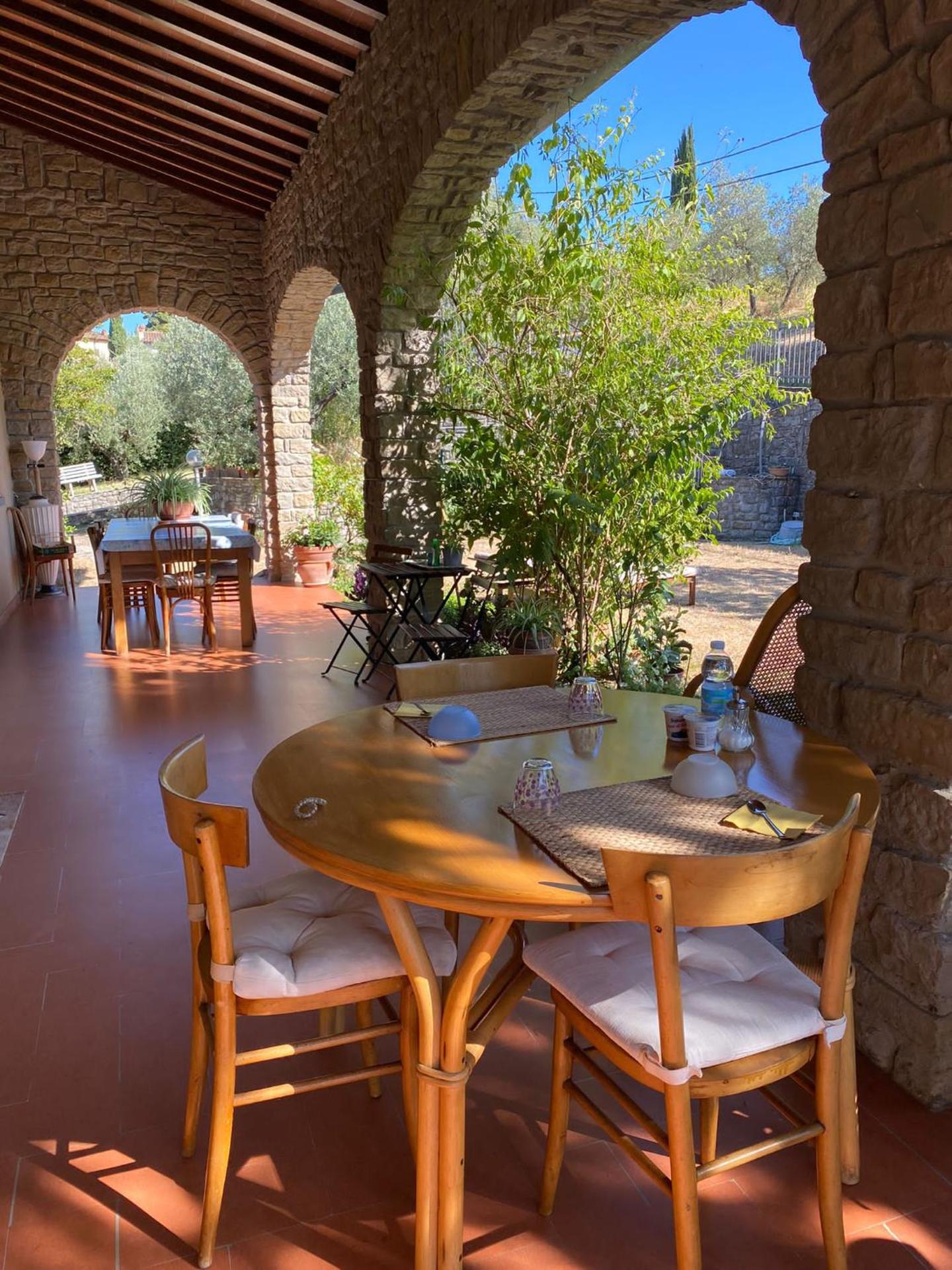 La collina degli olivi