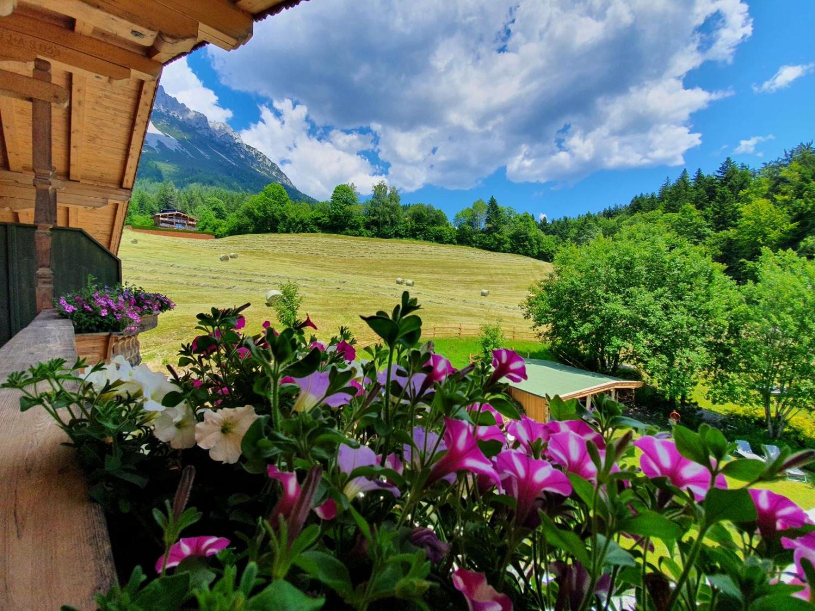 Apartment - Split Level