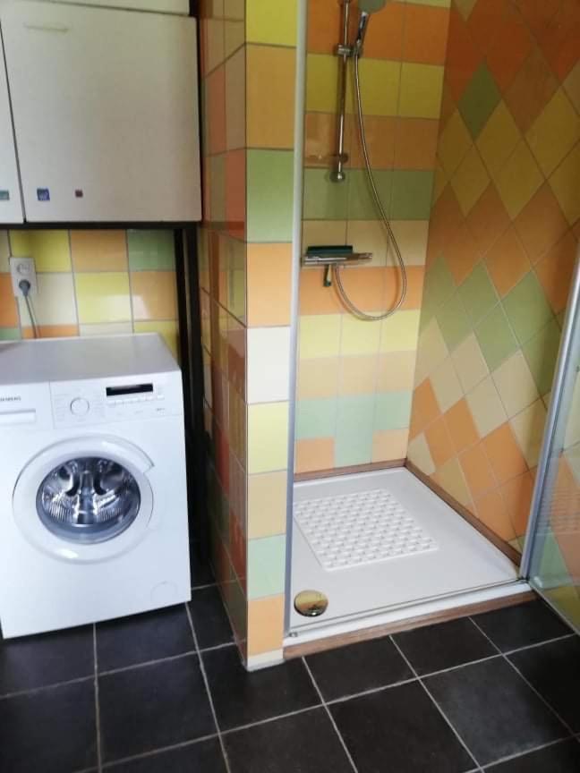 L'évasion du berger australien