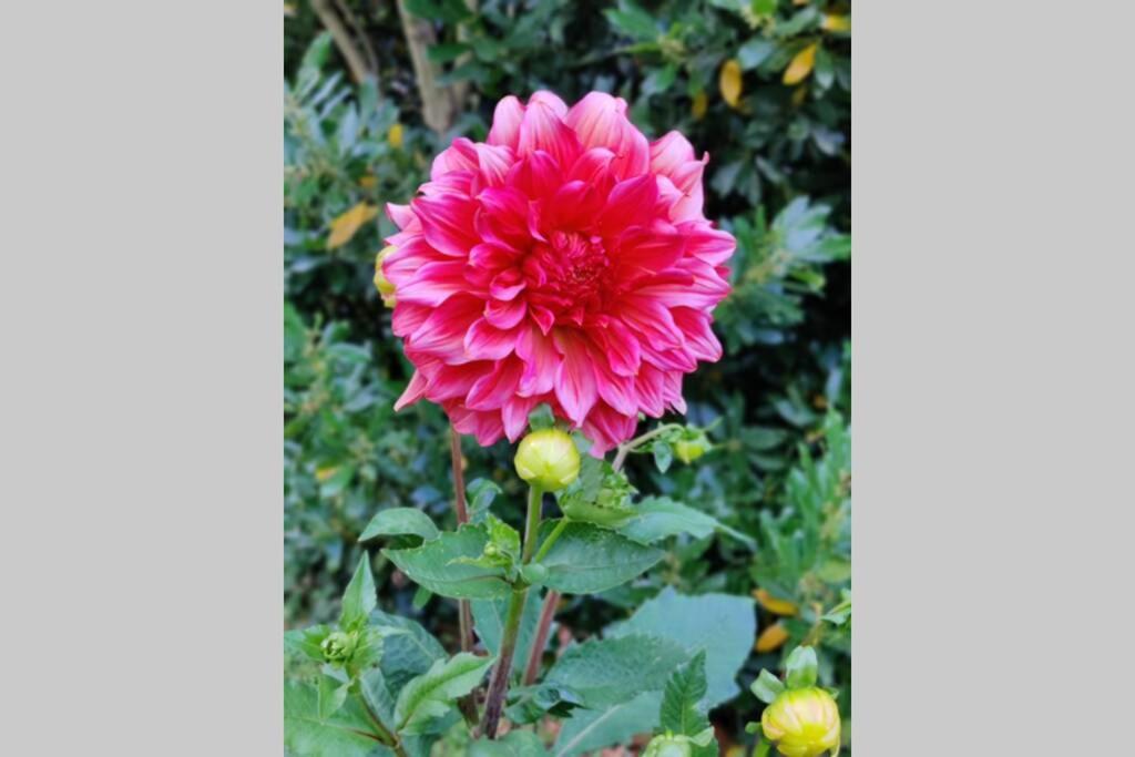 Uw eigen boerderij bij Le Moulin de la Place