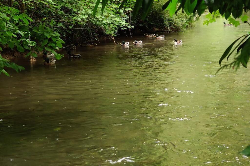 Uw eigen boerderij bij Le Moulin de la Place