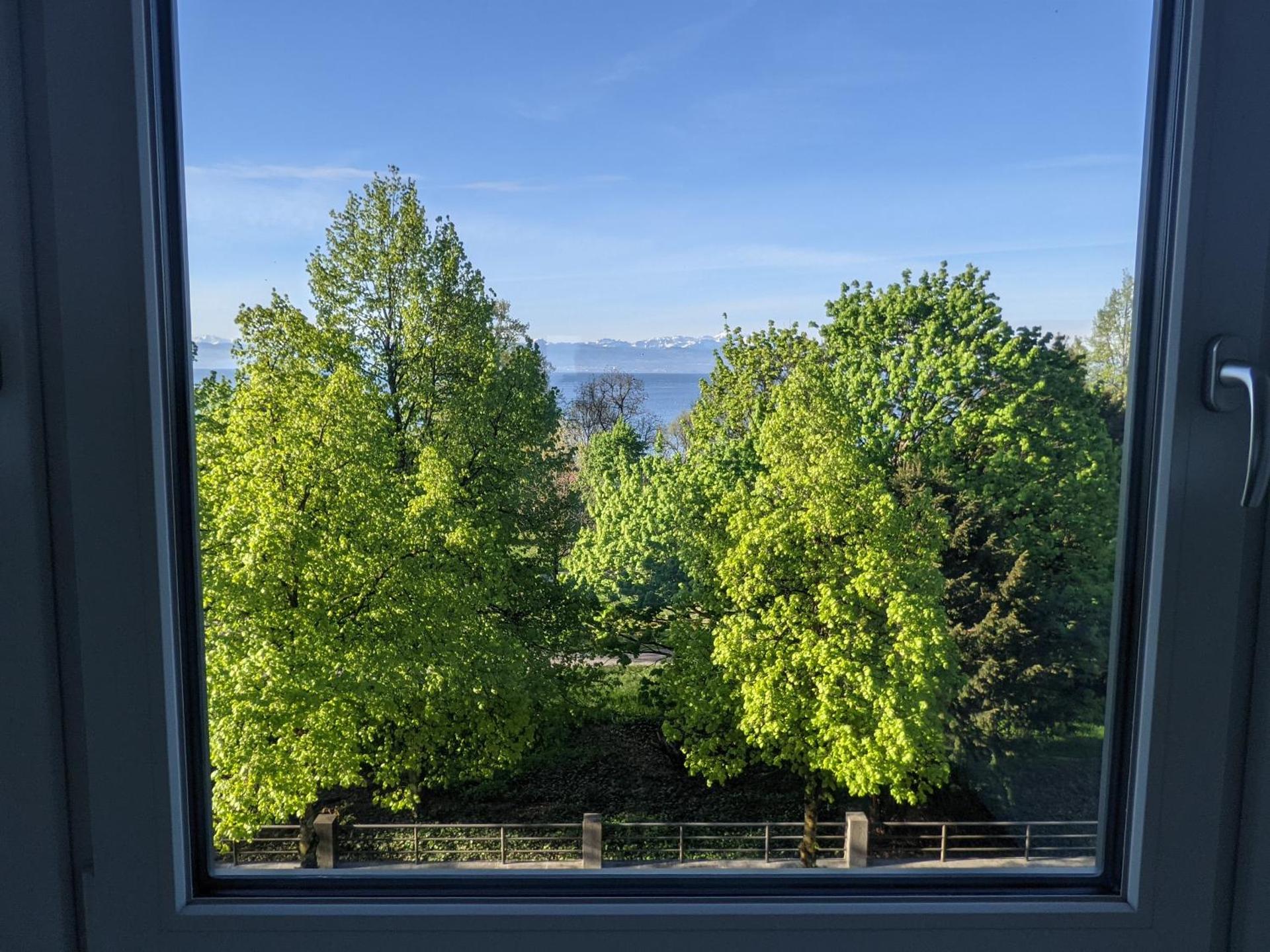 View (from property/room)