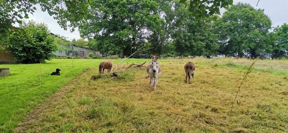 bienvenue chez Joëlle et André au 207