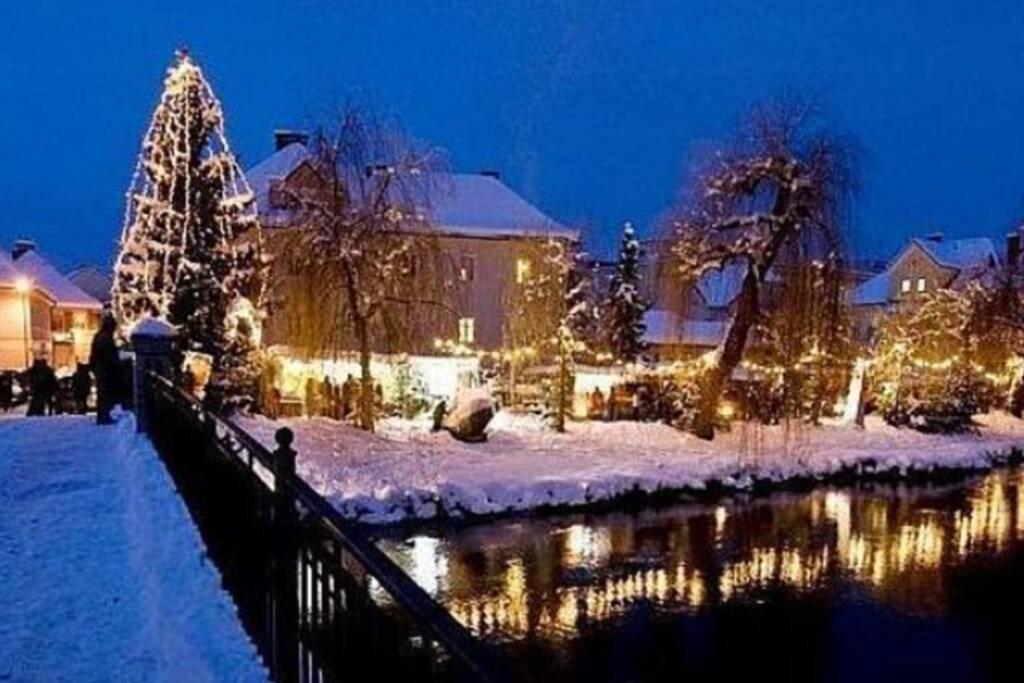 Cozy Condo close to town, castle, lake and hiking