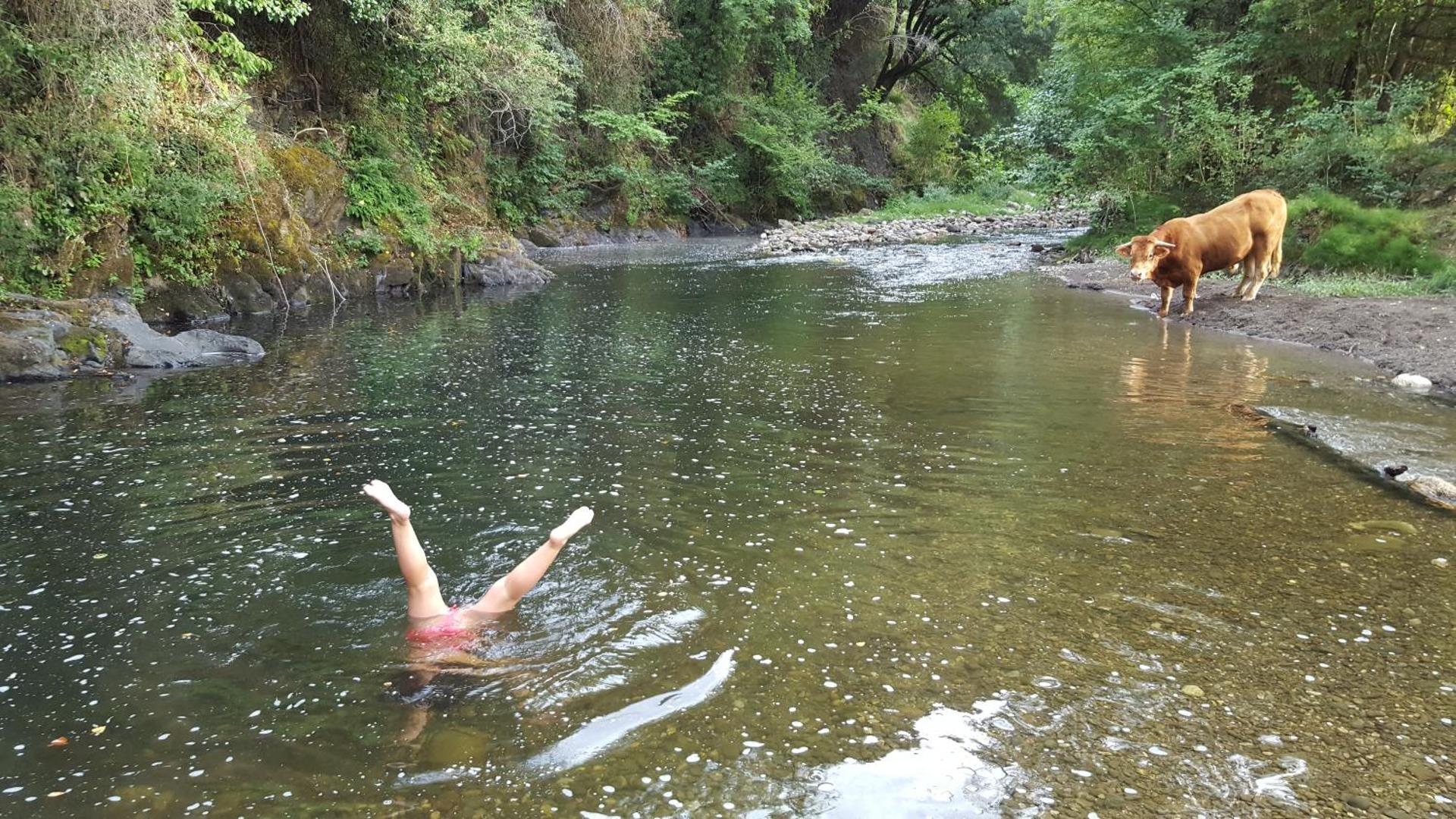 El Chalet de la Poza - Río, barbacoa, Wifi, zona de trabajo, vistas.