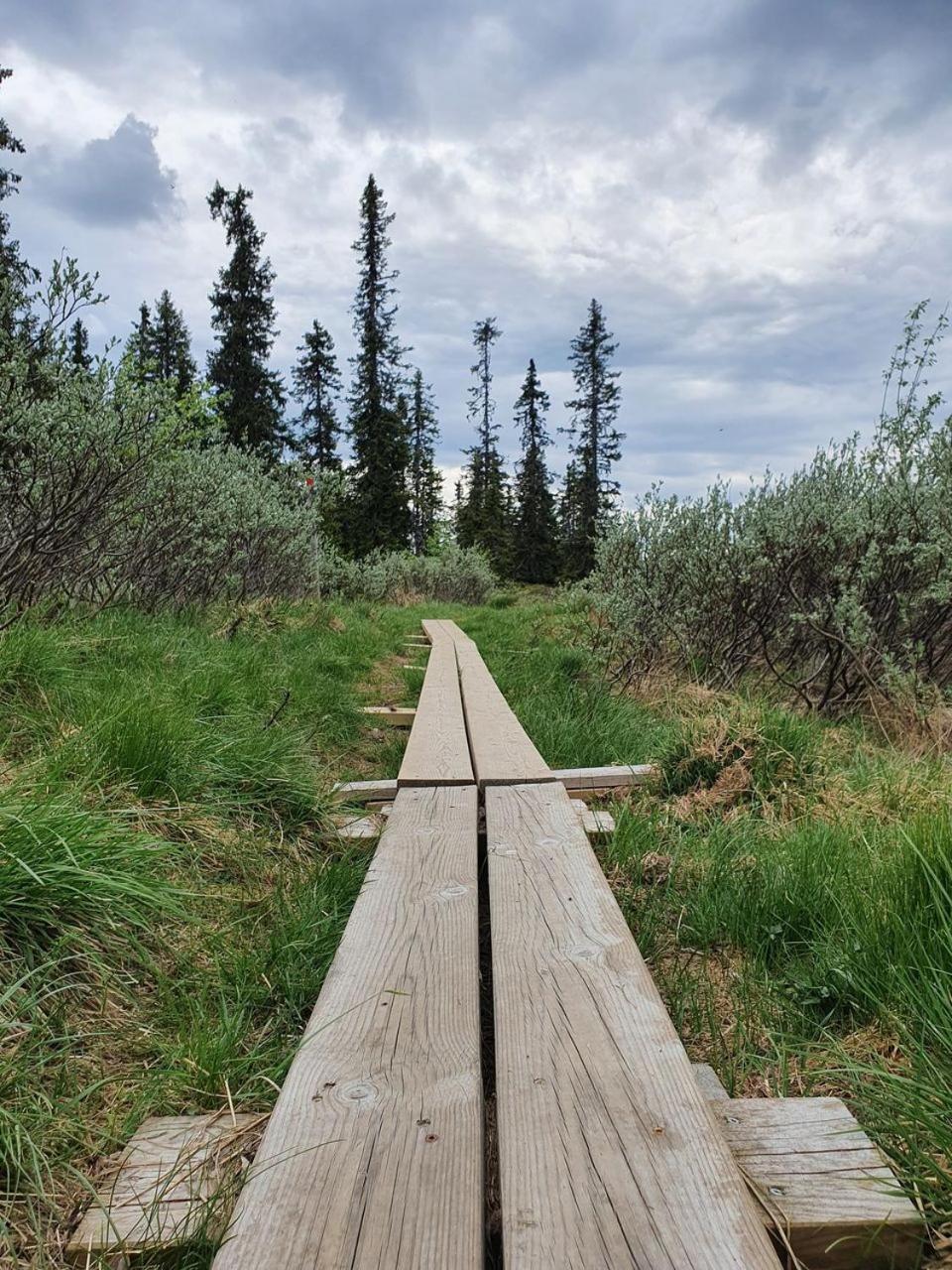 Fantastic and high standard apartment in Nordseter