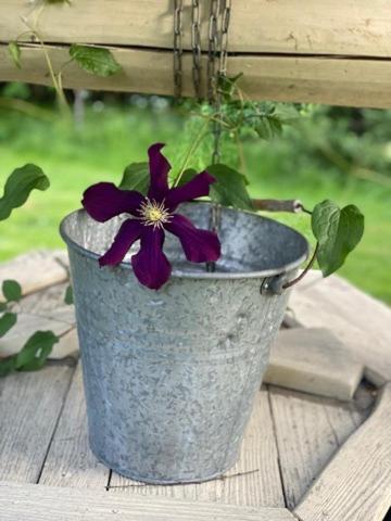 Anielska Chatka Istebna