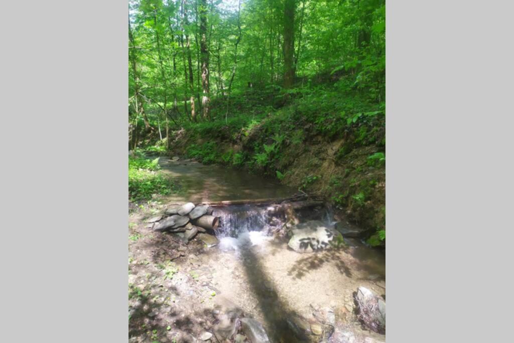 Maringotka Na Jamajce