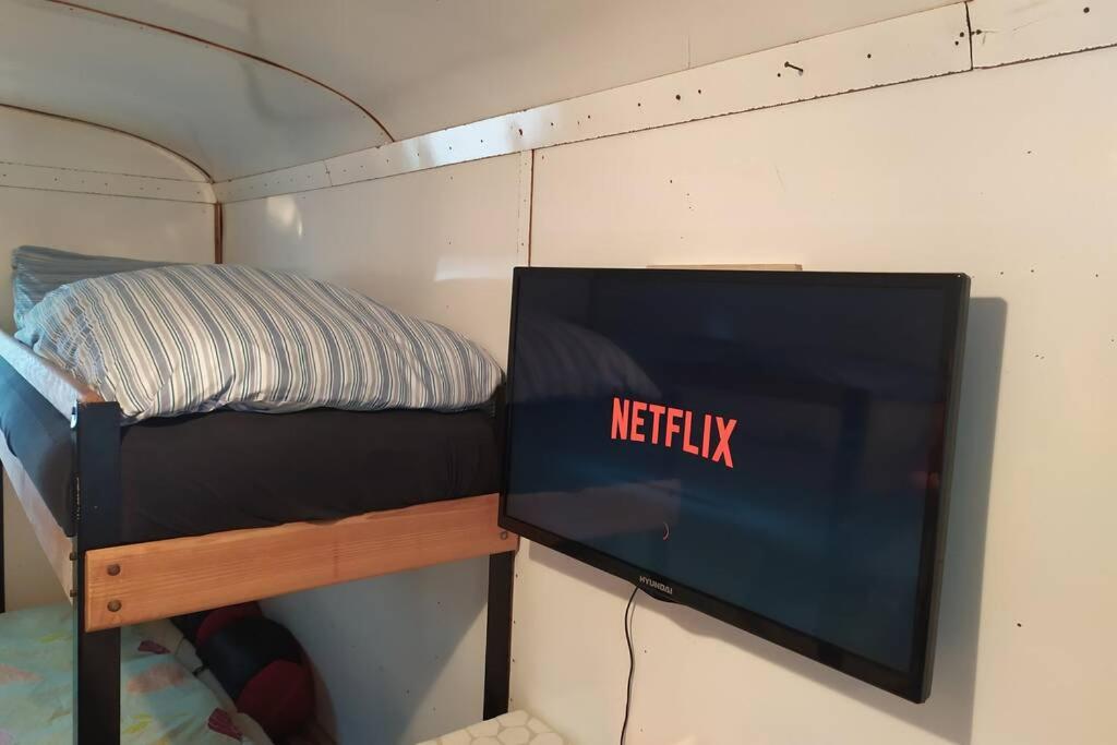 Maringotka Na Jamajce