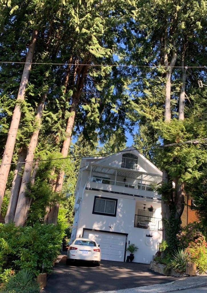 Beautiful Two Bedroom Suite