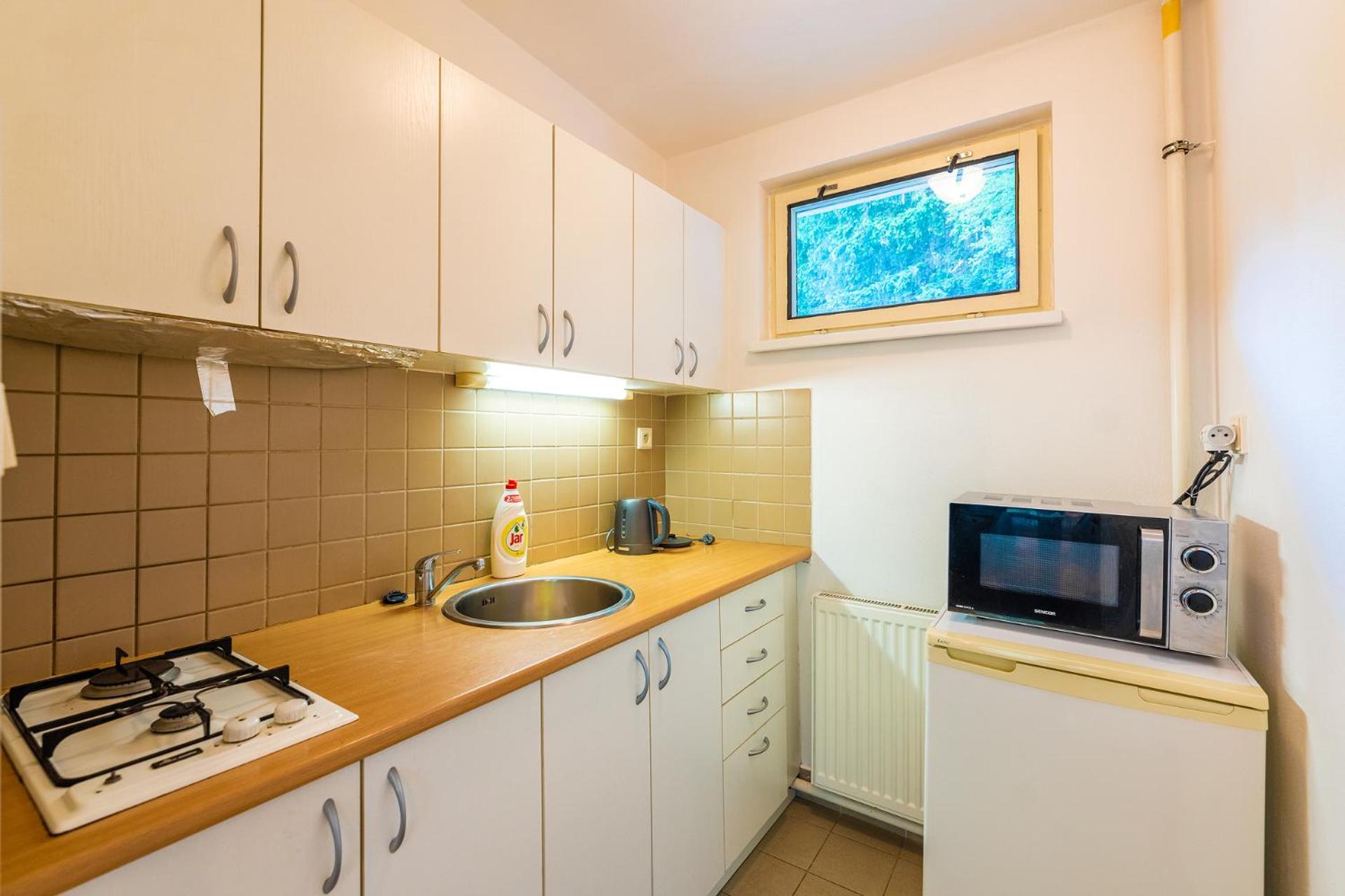Kitchen or kitchenette