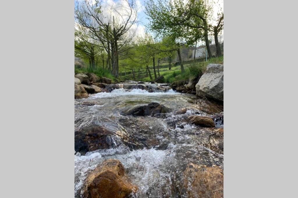 Formas Patuscas, Turismo Rural