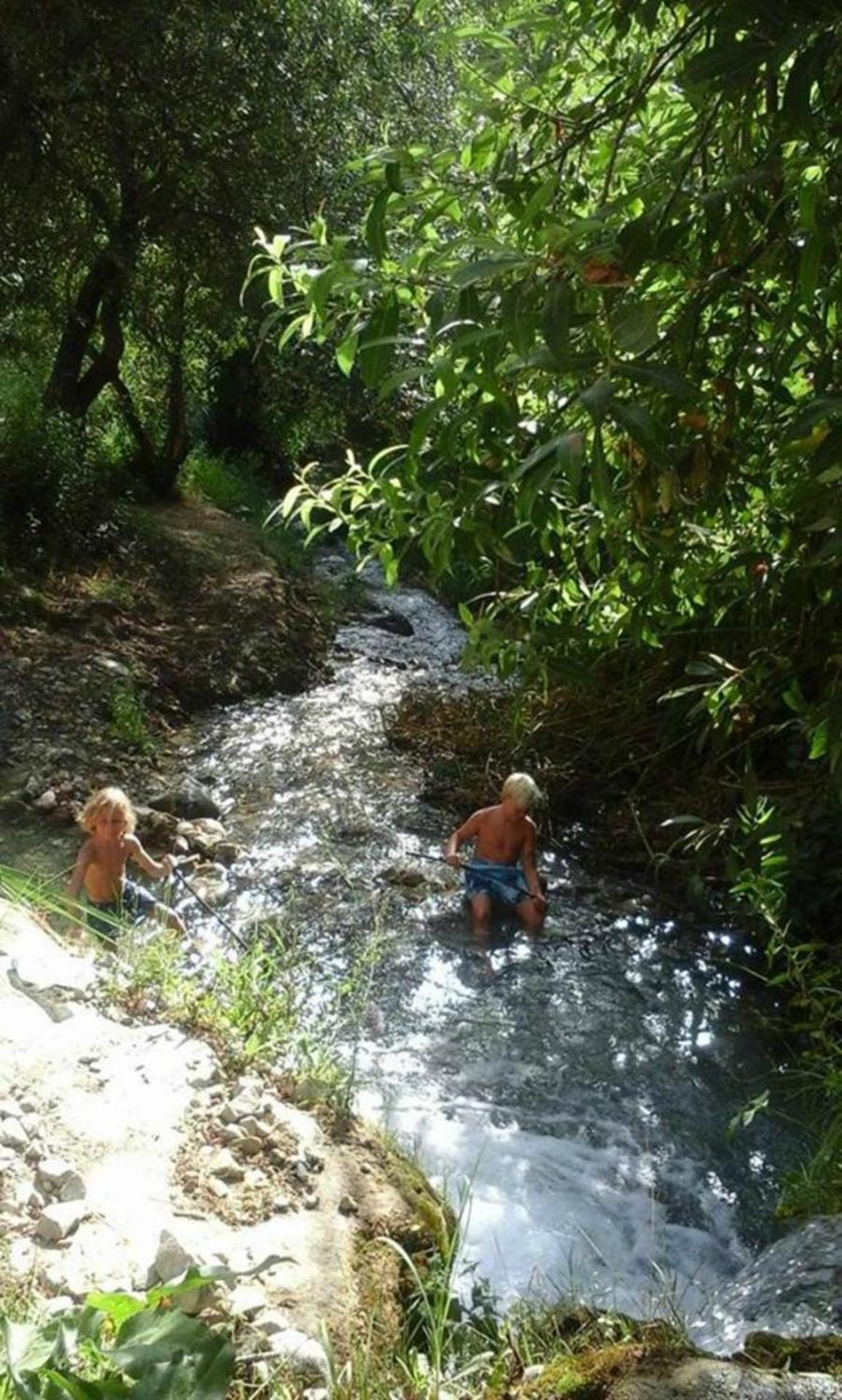 Wooden Mountain Cabin