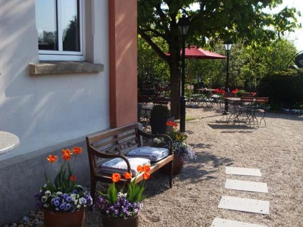 View (from property/room)