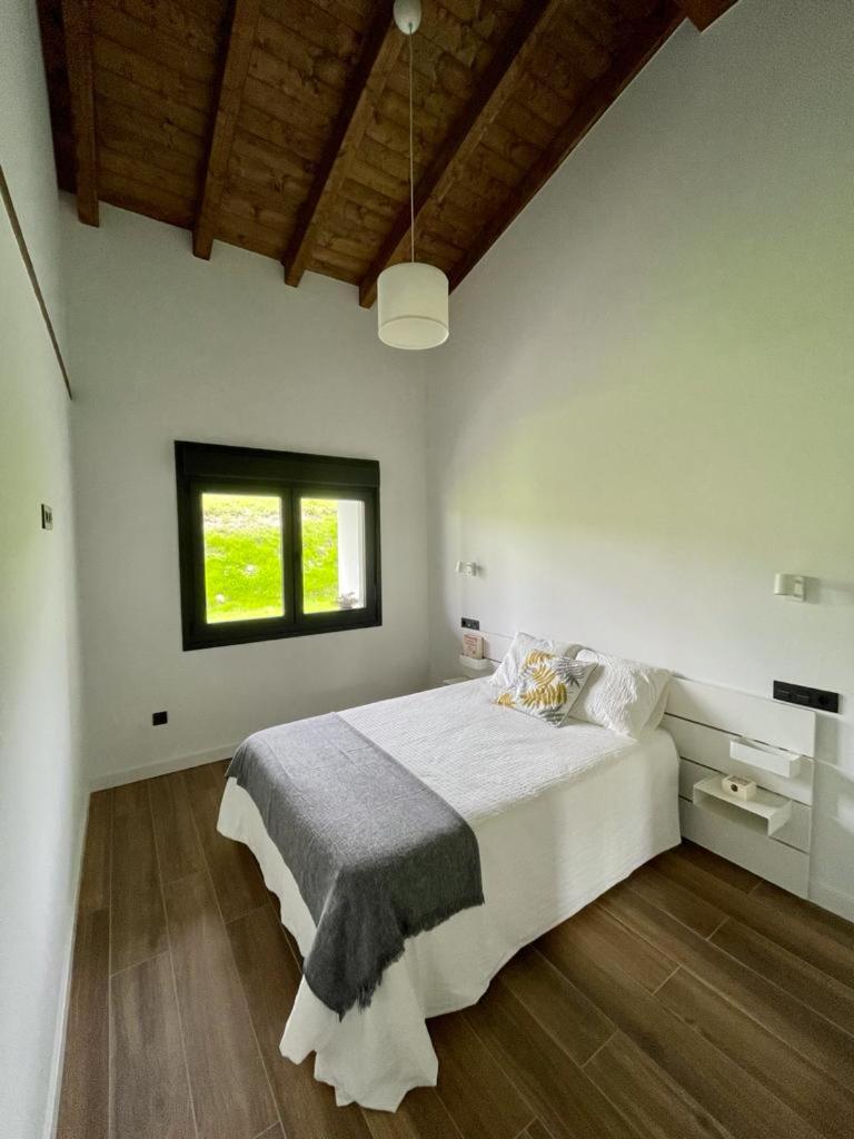 APARTAMENTOS LOS MANZANOS