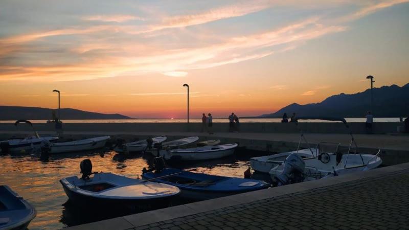 Apartman Stella Rovanjska