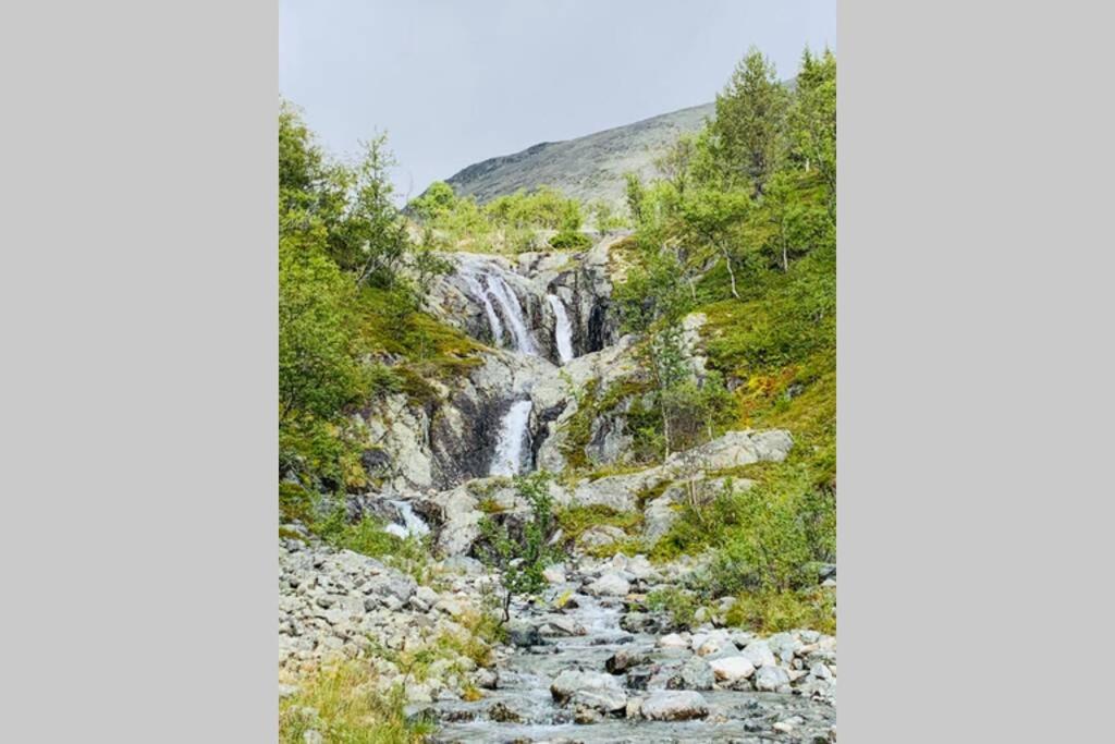 Super sentral, flott og solrik leilighet i sentrum