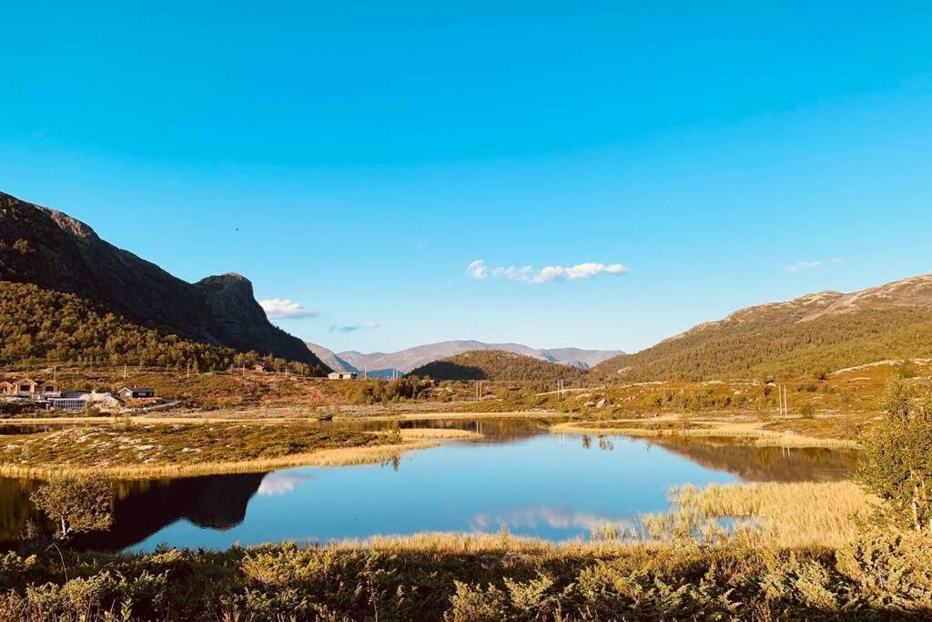 Super sentral, flott og solrik leilighet i sentrum