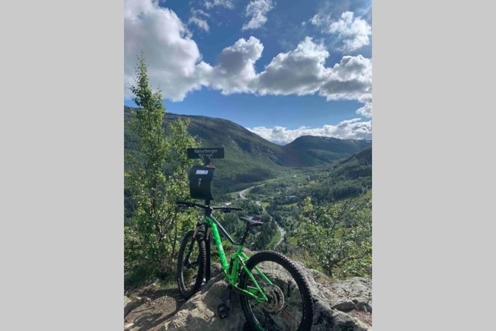 Super sentral, flott og solrik leilighet i sentrum