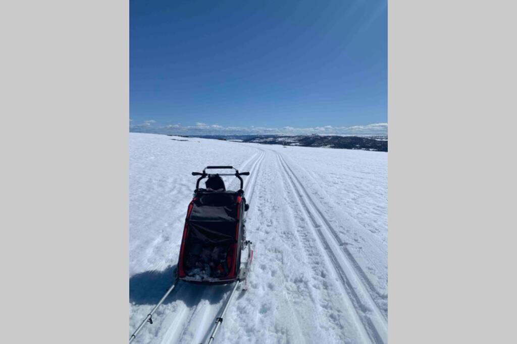 Super sentral, flott og solrik leilighet i sentrum