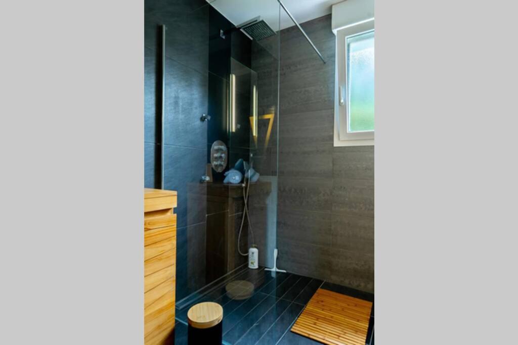 La Villetta G Blotzheim - Appartement de Standing