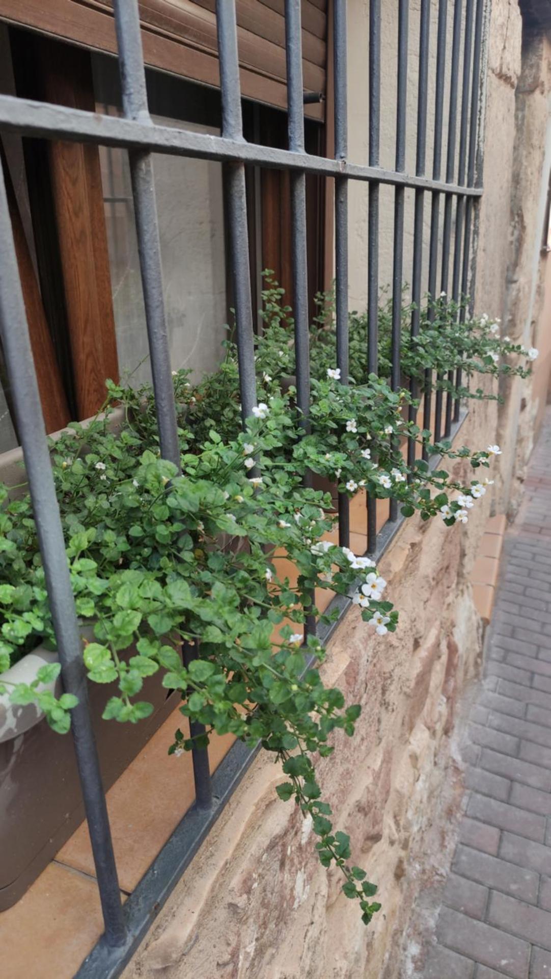 Descubre el Señorío