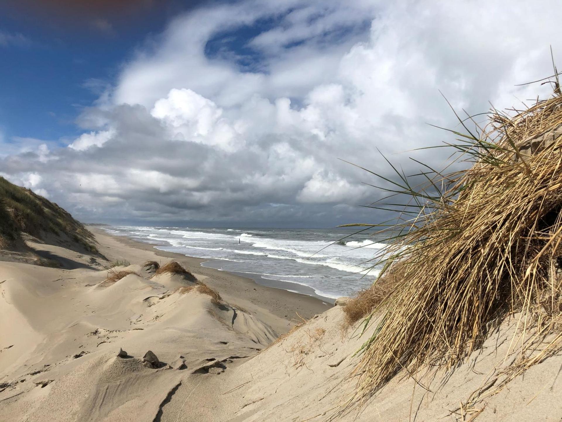 Dune Park Bungalow Stuga, Sauna, BBQ, Netflix