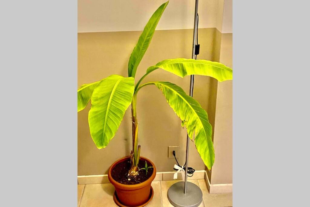 Appartamento cozy in super centro!