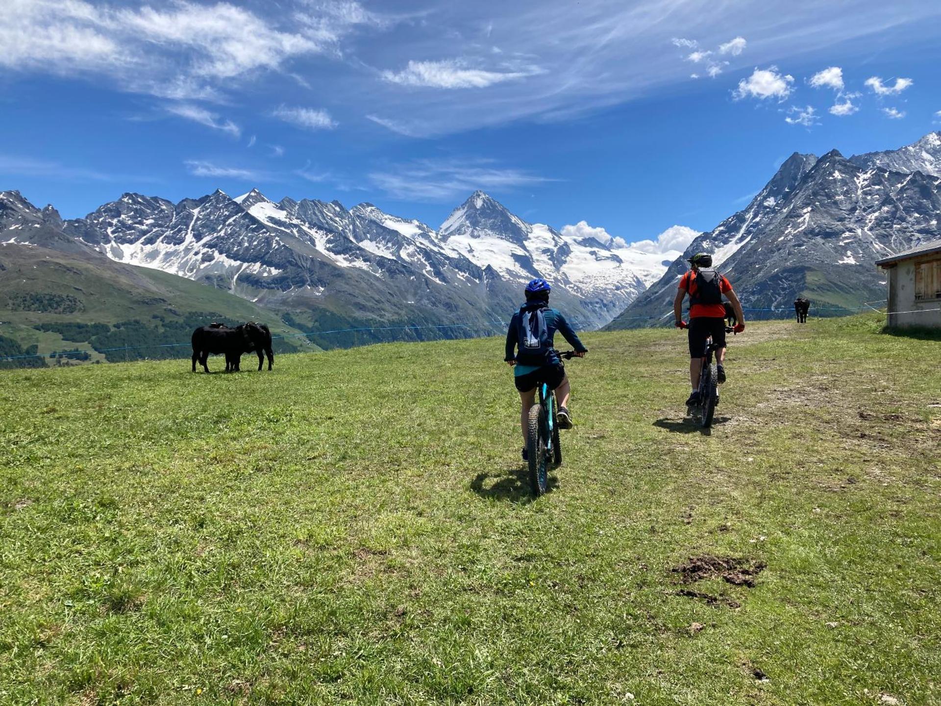 Chalet historique de haut standing