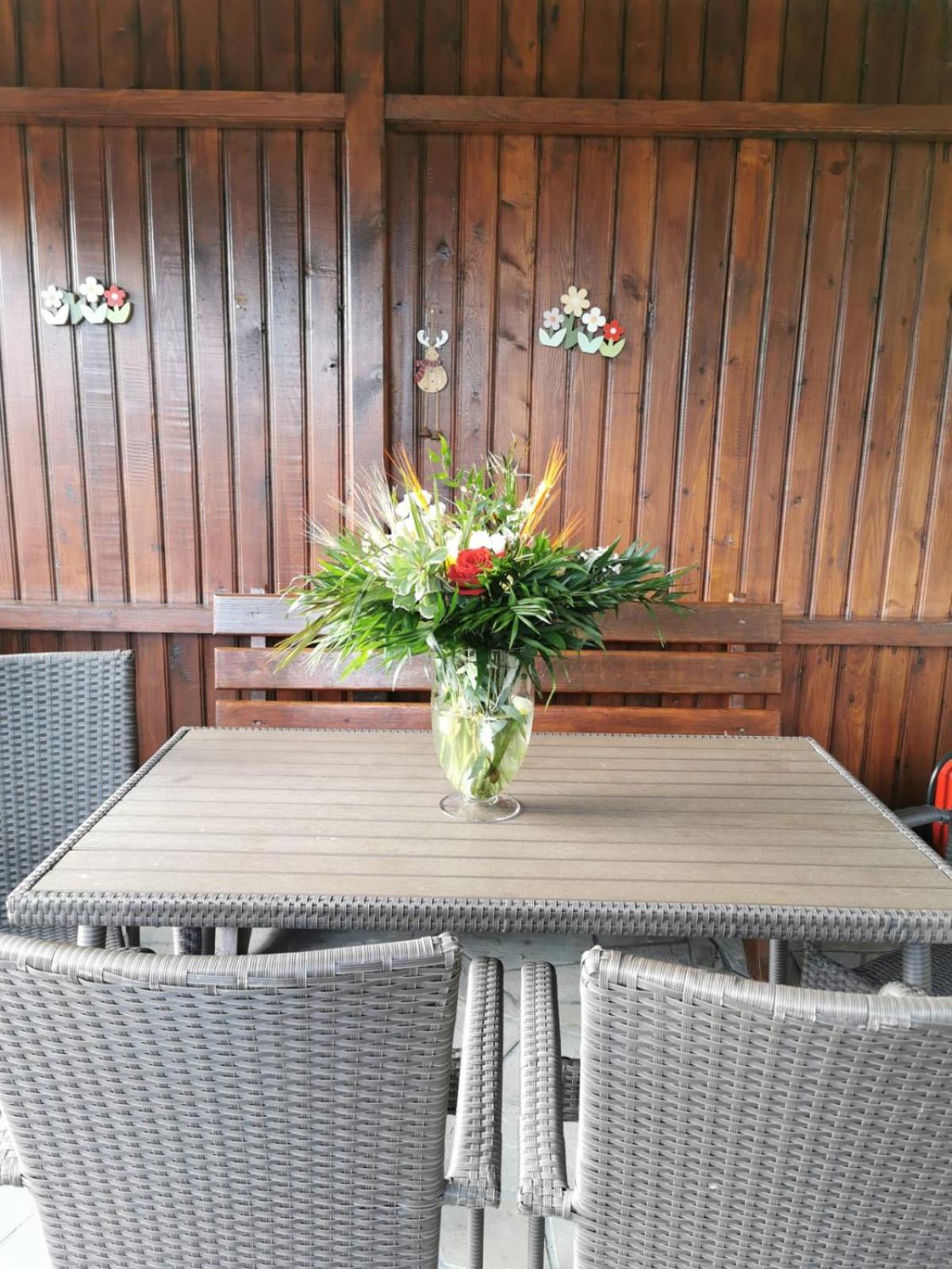 Apartament Fluturaș de Stâncă Comarnic