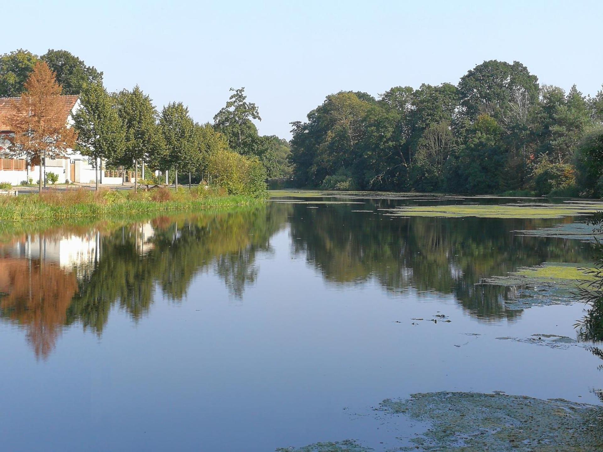 Pension Schlossblick Thallwitz