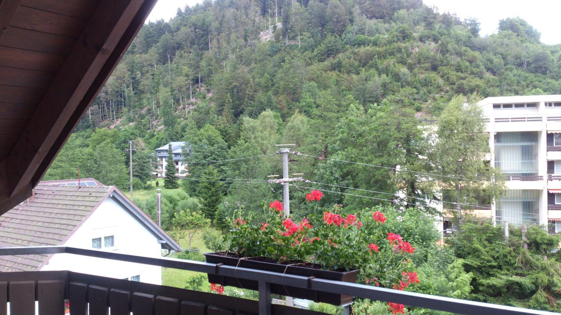 View (from property/room)