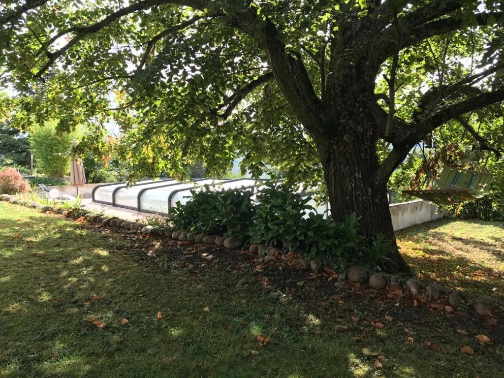 Les Gîtes de l'aiguete