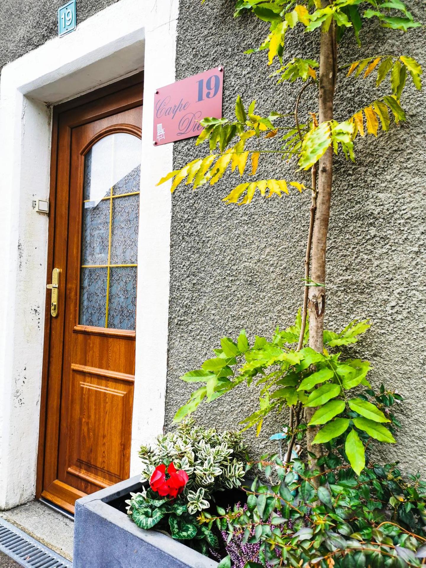 Carpe Diem - cote-montagnes