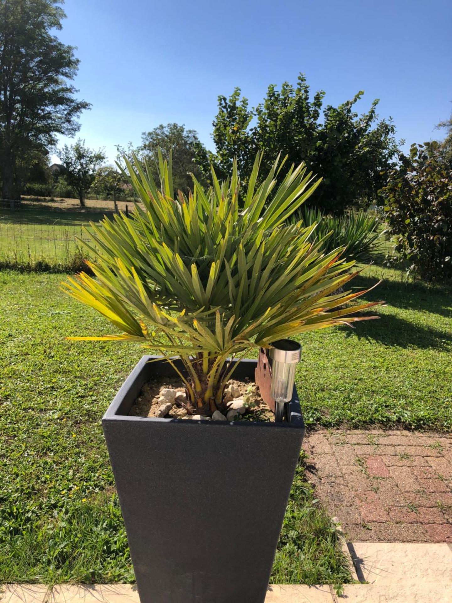 Petite Maison de campagne dépaysante