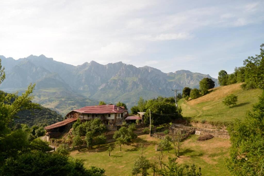AIRE DE MONTAÑA - ESTUPENDAS VISTAS A LOS PICOS