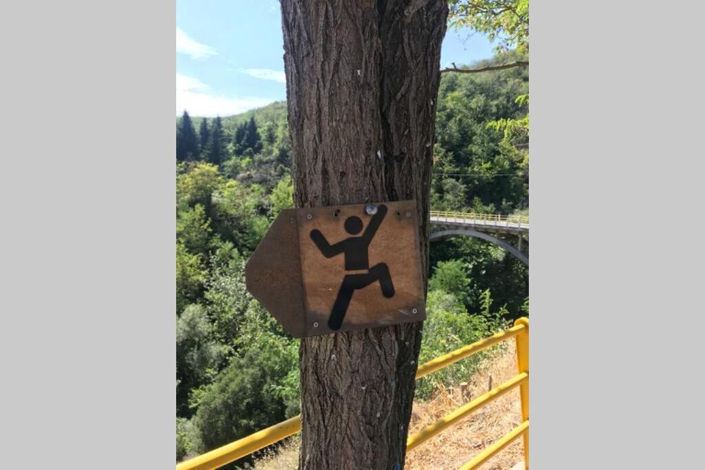 Logo/Certificate/Sign