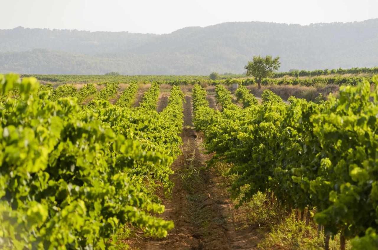 Casa Rural Ca Lazaro