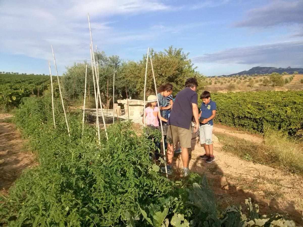 Casa Rural Ca Lazaro